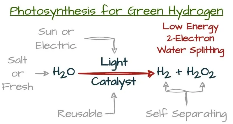 Diagram, 'Photosynthesis for Green Hydrogen': salt or fresh H2O, plus sun or electric light, over a reusable catalyst, yields H2 + H2O2 — labelled low energy 2-electron water splitting, self separating.