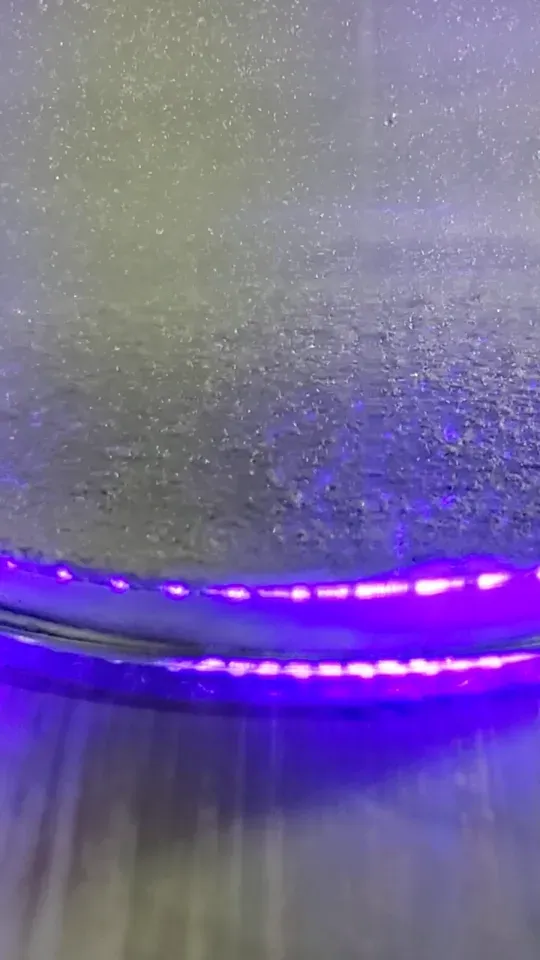 Close-up of a glass flask lit from below by a violet UV LED panel, bubbling.