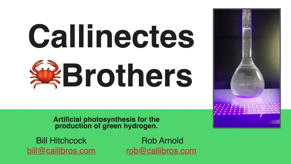 Title card for the company overview video: the Callinectes Brothers crab wordmark over a green band reading 'Artificial photosynthesis for the production of green hydrogen,' with Bill Hitchcock and Rob Arnold named beneath it alongside their callibros.com email addresses, and a still of the lit reaction flask at the right.