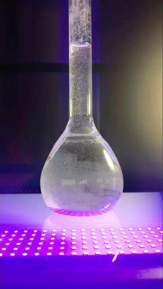 A round-bottomed flask of water on a violet LED panel, gas bubbling up its neck